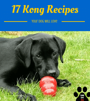 Recipes For Kong