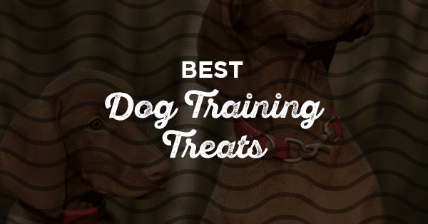 best dog training treats