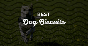 Best Dog Biscuits