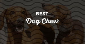 Best Dog Chews