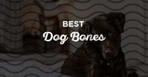 7 Best Dog Bones