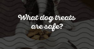What Dog Treats Are Safe?