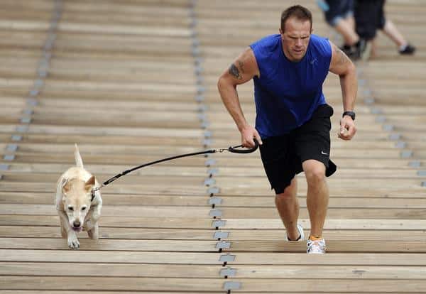 Run With Your Dog Up The Stairs