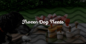 17 Frozen Dog Treats That Any Pup Lover Can Make