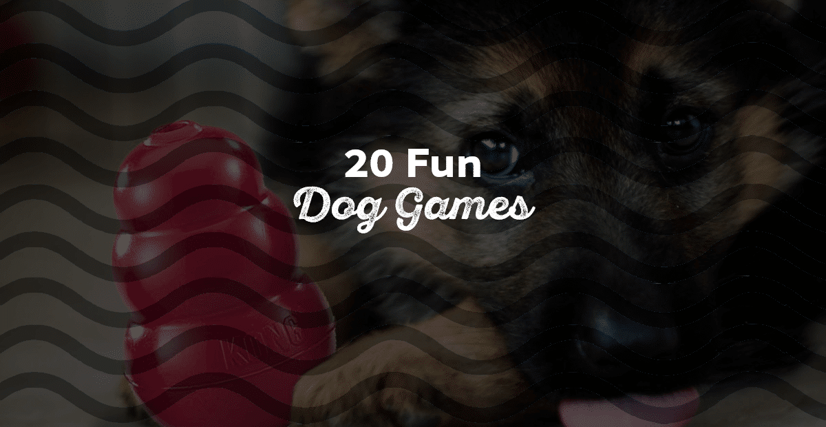 Fun Dog Games To Keep Them Fit