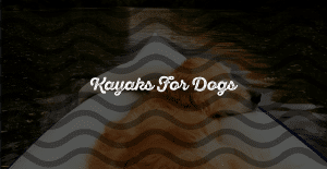 Dog Kayaks