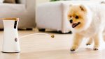 Best Treats Furbo Dog Camera