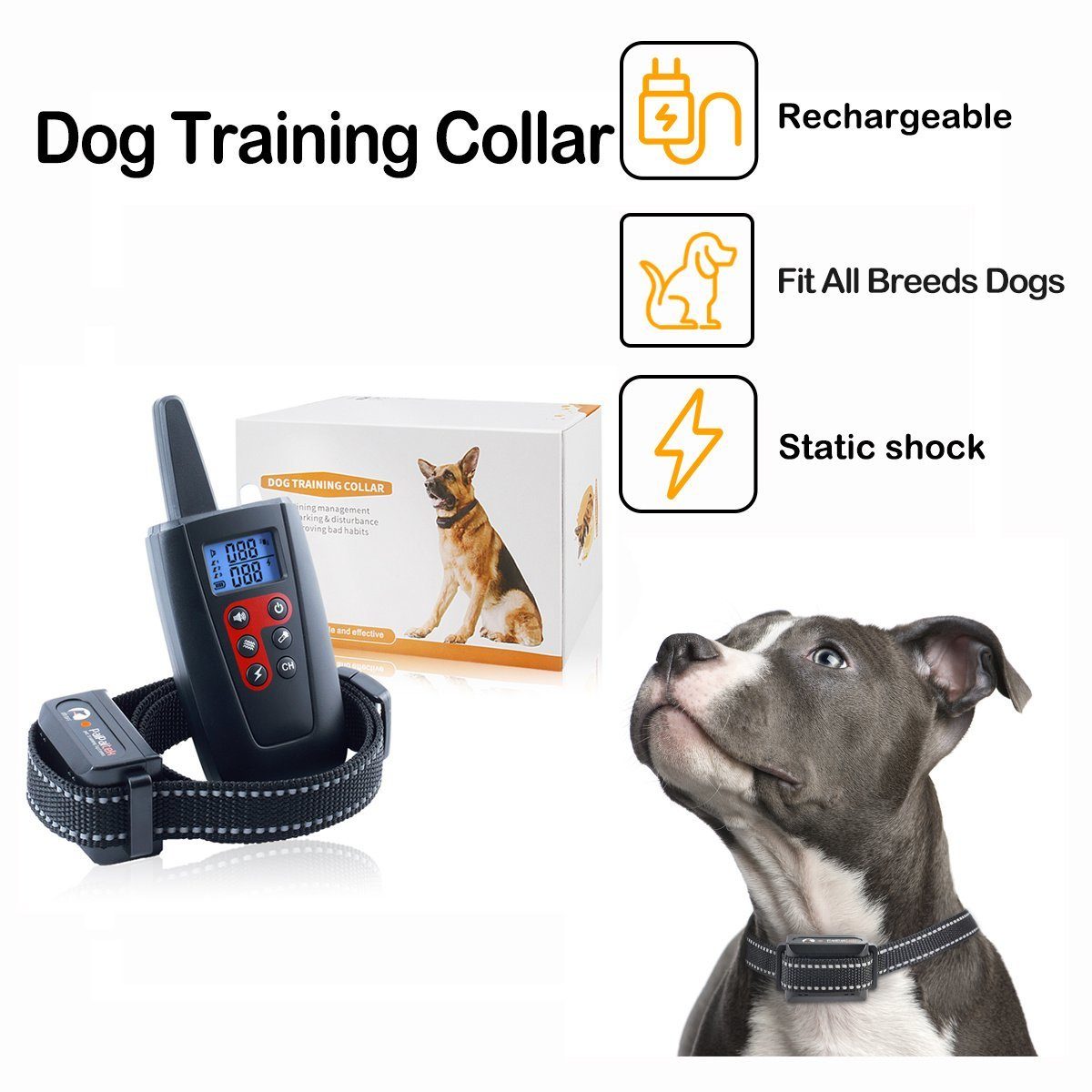 30 Best Wireless Invisible Dog Fences Of 2024 Reviewed Updated August