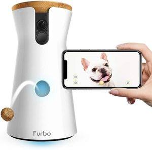 12 Amazing Inventions For Your Dog That You Can Get on Amazon Under $25