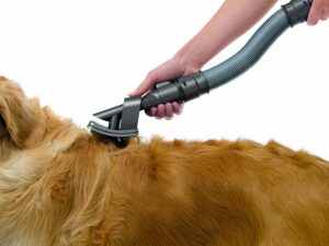 Vacuum Attachments For Dog Grooming