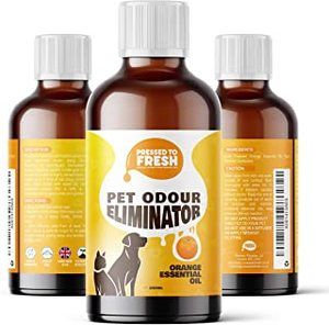 Dog Urine Odor Removers