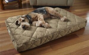 Dog Beds For 100 Lb Dogs
