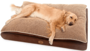 Dog Beds For 50 Lb Dogs