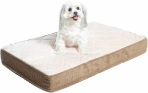 Dog Beds For Arthritic Dogs