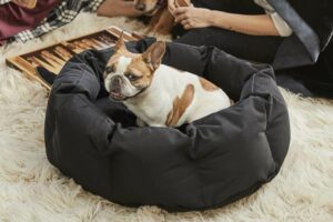 Dog Beds For Chewers