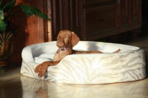 Dog Beds For Hungarian Vizslas