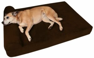 Dog Beds For Incontinent Dogs