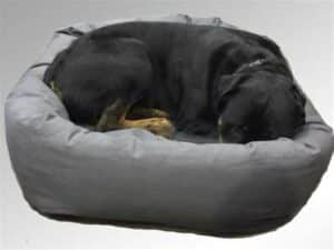 Dog Beds For Rottweilers