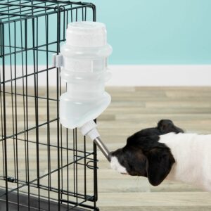 Dog Crate Water Bottles