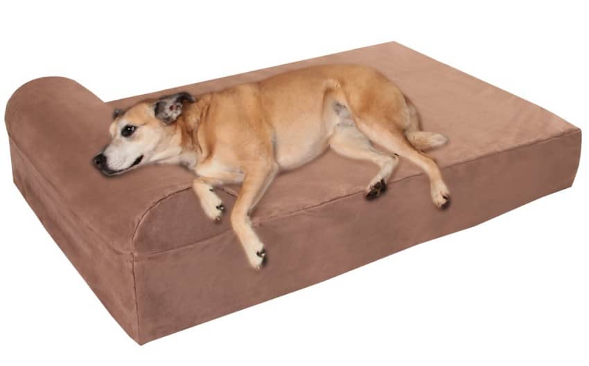 Best Extra Large Dog Beds Updated January 2024