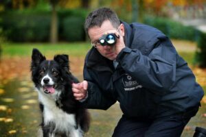 Night Vision Goggles For Dogs