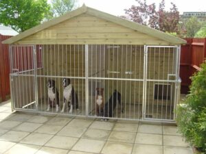 Outdoor Kennels For Pitbulls