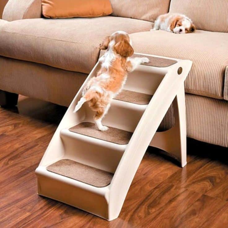 Best Dog Ramps For Bed Updated April 2023