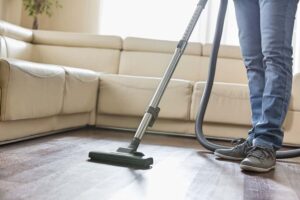 Vacuums For Hardwood And Dog Hair