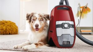 Vacuums To Pick Up Dog Hair