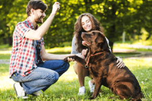 6 Things New Dog-Owners Must Know About