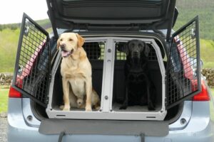 Car Crates For Labradors