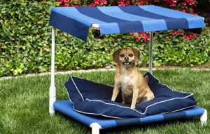 Dog Beds For Outdoor Use