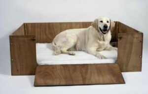 Dog Beds For Pregnant Dogs