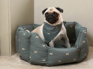 Dog Beds For Pugs