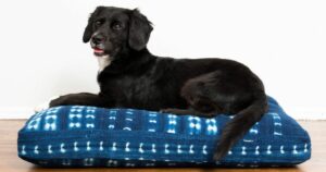 Dog Beds For Burrowers