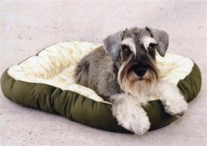 Dog Beds For Miniature Schnauzers