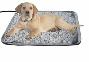 Electric Heated Dog Beds