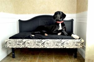 Elevated Dog Beds For Xlarge Dogs