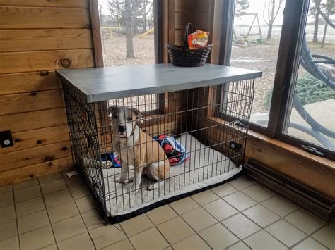 Image showcasing Best Small Dog Crates - Updated December 2025