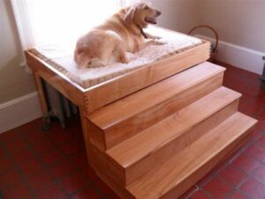 Stairs For Small Dogs