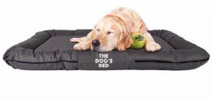 Dog Beds For Golden Retrievers