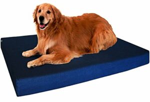 Dog Beds For IVDD