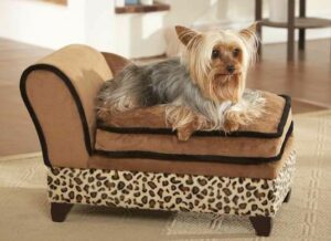 Dog Beds For Teacup Yorkies