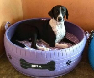 Dog Beds From Tires