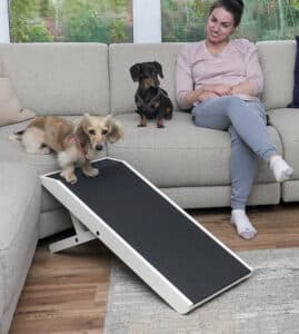 Dog Ramps For Dachshunds