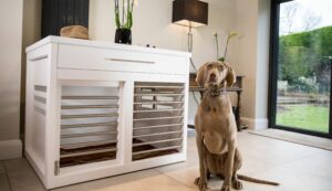 Travel Dog Crates For Large Dogs