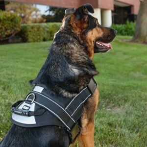 Large Breed Dog Harnesses