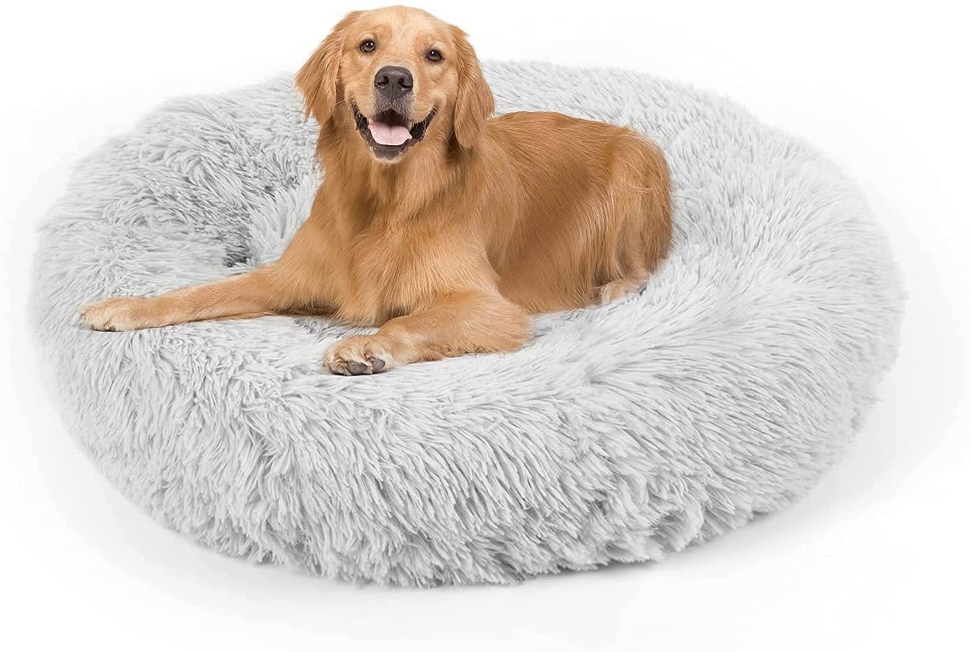 Fluffy Dog Beds - The Complete 2022 Guide For Canine Beds