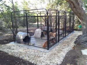 Kennels For Big Dogs