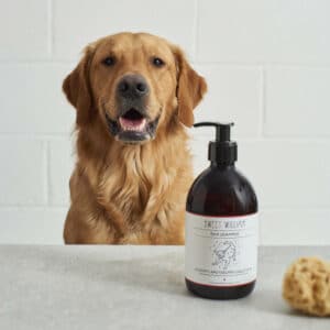 Natural Dog Shampoos